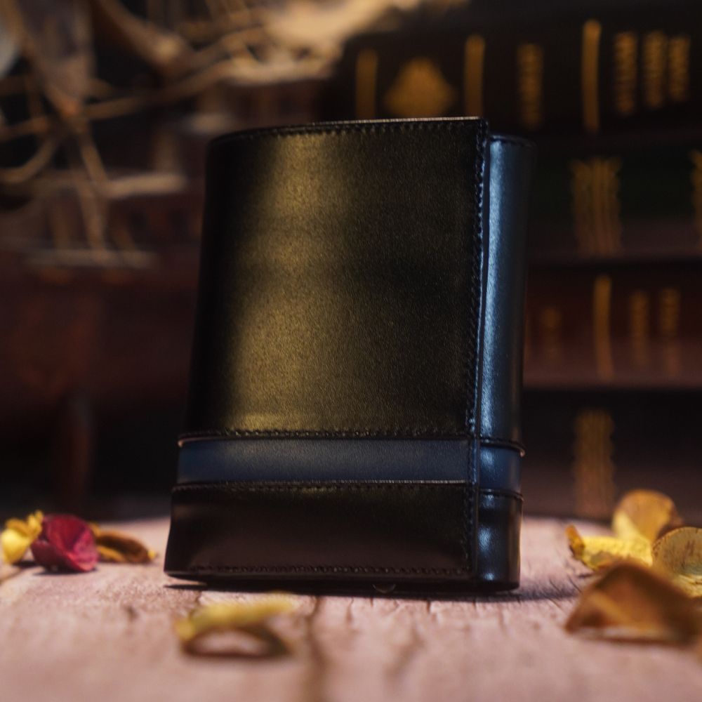 BILLETERA SATORU BH25