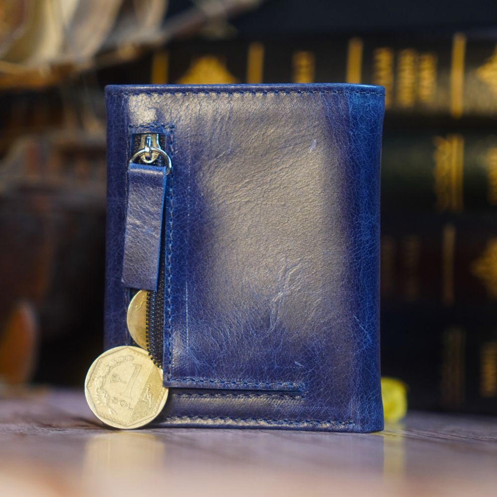 BILLETERA AIXA - BH19