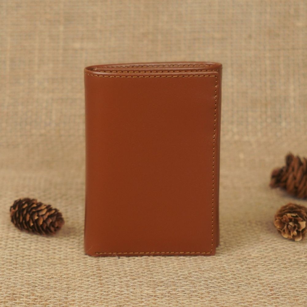 BILLETERA BISON 2 - BH20
